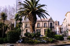 Webmaster Agde