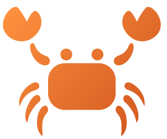 agence studio crabe numérique conception de site internet